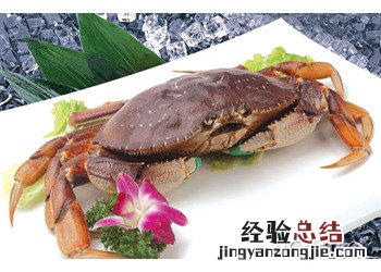 珍宝蟹的营养价值 珍宝蟹的营养价值和功效