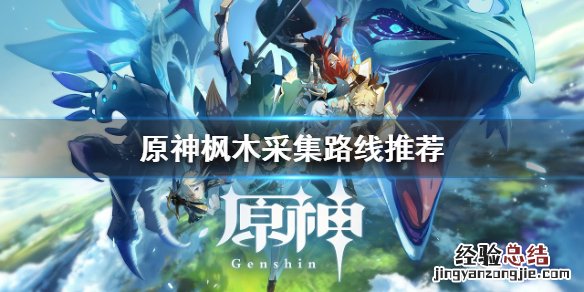 原神枫木哪里多 元神枫木采集路线