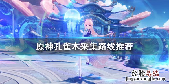 原神孔雀羽攻略 原神孔雀木哪里最多