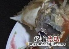 如何腌制梭子蟹视频 如何腌制梭子蟹