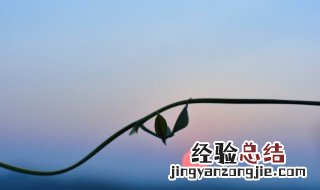 日环食是什么意思 日环食的定义是什么？