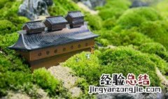 苔古诗青春的意思 苔古诗青春的释义
