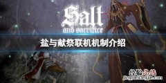 盐与牺牲怎么联机