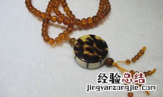 玳瑁是什么 玳瑁是由什么动物制作而成的