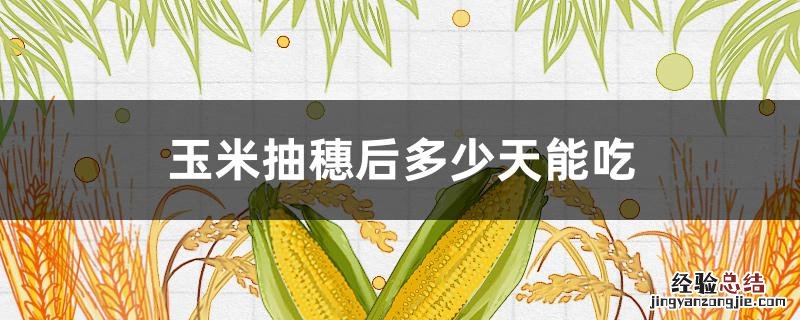 玉米抽穗后多少天能吃青玉米 玉米抽穗后多少天能吃