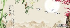 竹子梅花还有什么 竹子梅花代表什么人