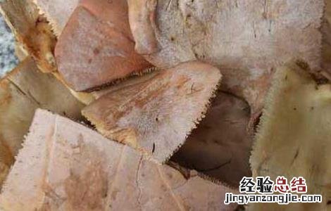 龟板胶的功效与作用及食用方法板 龟板胶的功效与作用