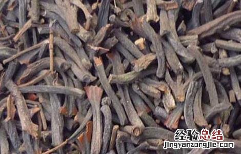 桂丁的功效与作用及禁忌 桂丁的功效与作用