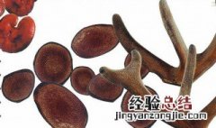 鹿茸可以放冰箱吗 鹿茸可以冷藏吗