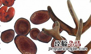 鹿茸可以放冰箱吗 鹿茸可以冷藏吗