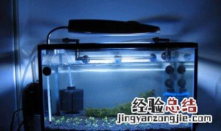 底过滤大鱼缸怎样养小鱼好 底过滤大鱼缸怎样养小鱼