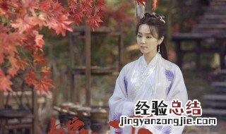 锦衣之下是在湖南卫视播出吗 电视剧内容介绍
