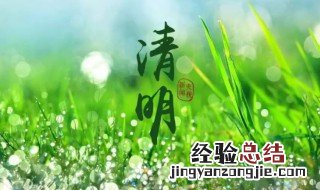 二十四节气中既是节气又是传统节日的是 既是节气又是传统节日的是哪个节日
