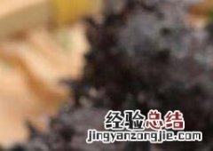 干海参怎么食用 干海参怎么食用比较好