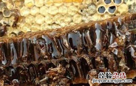 蜂胶有什么副作用 长期吃蜂胶有什么副作用