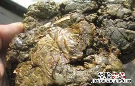 蜂胶有什么副作用 长期吃蜂胶有什么副作用