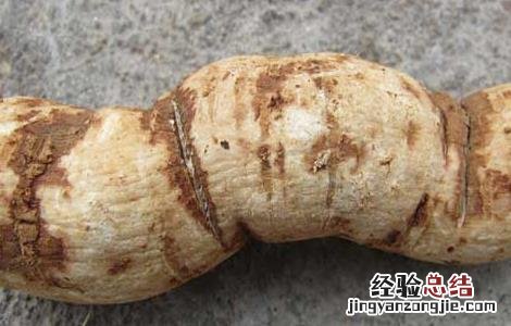粉防己的功效与作用 粉防己的功效与作用风湿怎么用