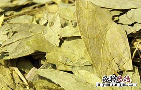番泻叶的功效与作用 番泻叶的功效与作用及食用方法