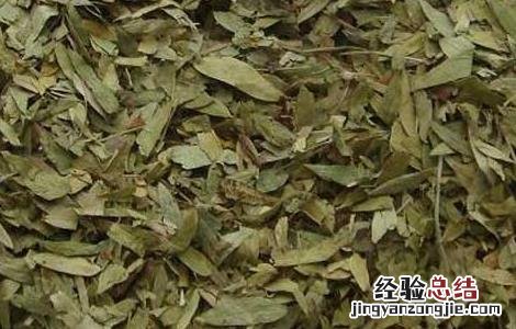 番泻叶有什么副作用 番泻叶有什么副作用偶尔