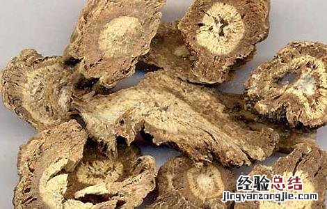 独活的功效与作用与主治 独活的功效与作用
