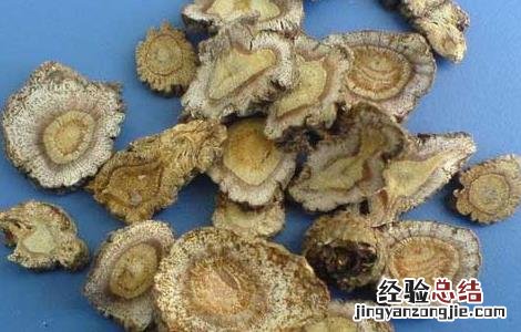 独活的功效与作用与主治 独活的功效与作用