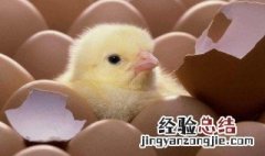 人工光源的基本作用是什么 人工光源的基本作用是什么意思