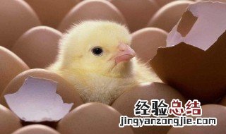 人工光源的基本作用是什么 人工光源的基本作用是什么意思