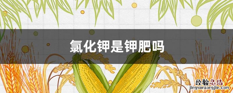 氯化钾是钾肥吗 氯化钾是钾肥吗吗