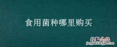 食用菌的菌种哪里有? 食用菌种哪里购买