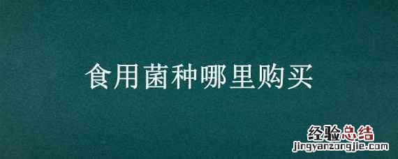 食用菌的菌种哪里有? 食用菌种哪里购买