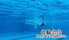 蝶泳标准动作要领 掌握方法如鱼得水
