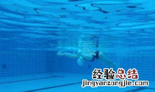蝶泳标准动作要领 掌握方法如鱼得水