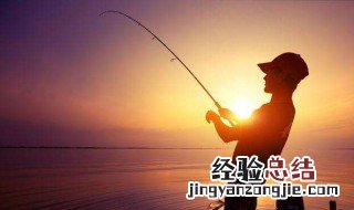 路亚竿可以钓鲫鱼吗 下文解答