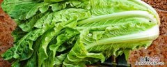 大白菜开花是怎么回事 大白菜开花是怎么回事怎样发朋友圈说说