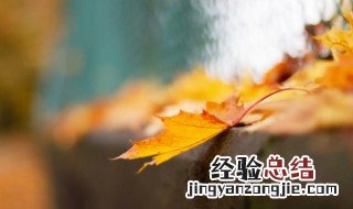 自作孽不可活这句话 自作孽不可活下一句怎么接