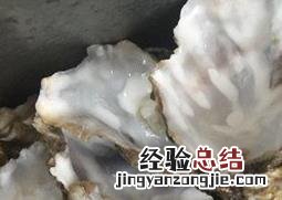 牡蛎壳粉的功效与作用 牡蛎壳的功效与作用