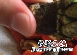 佛手海螺怎么吃 佛手螺怎么吃图解