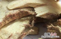 白背叶根的功效与作用 白背叶根的功效与作用,白背叶根的副作用