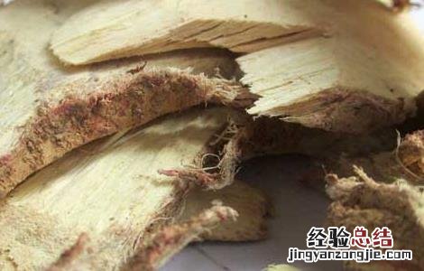 白背叶根的功效与作用 白背叶根的功效与作用,白背叶根的副作用