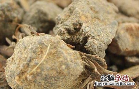 安息香的功效与作用 苏合香的功效与作用