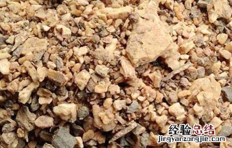 安息香的功效与作用 苏合香的功效与作用