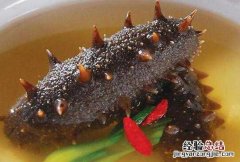 海参怎么样吃好，海参的正确吃法 海参怎么样吃才好