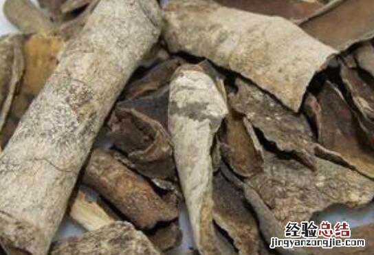 救必应的功效与作用及食用方法 救必应的功效与作用