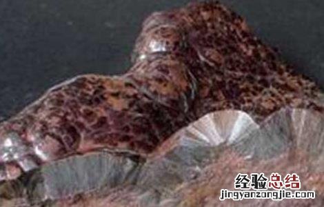 代赭石的功效与作用 代赭石的功效与作用代赭石的副作用