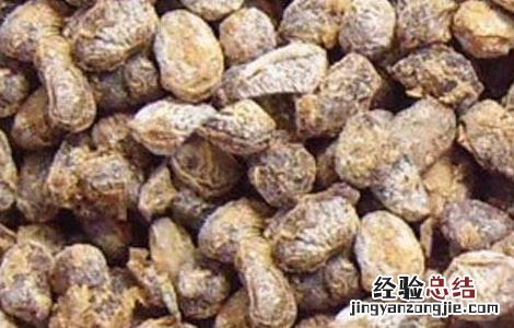 淡豆豉的功效与作用点用方法 淡豆豉的功效与作用