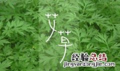 檀香沉香艾草香的作用 檀香沉香艾草香的作用与用途