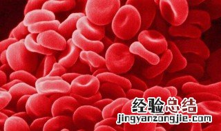 血液的主要作用是运载什么 血液的作用包括