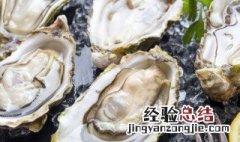一般电烤箱烤生蚝几分钟 家用烤箱可以烤生蚝吗