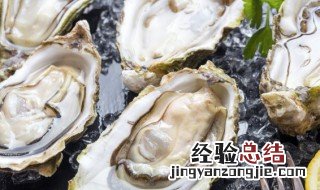 一般电烤箱烤生蚝几分钟 家用烤箱可以烤生蚝吗