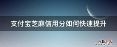 支付宝里芝麻信用怎么可以快速提高 支付宝芝麻信用分如何快速提升